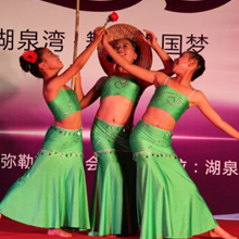 旅匈华人儿童舞蹈队获匈牙利全国舞蹈锦标赛佩斯州赛区好成绩