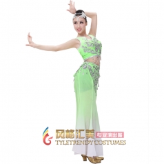 北京出售新款浅绿色傣族舞蹈演出服装 舞蹈表演服装可定制