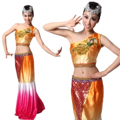 傣族舞蹈 孔雀舞演出服 民族演出服装