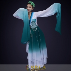 藏青色古典舞蹈演出服装女款长衫舞蹈演出服装定制！
