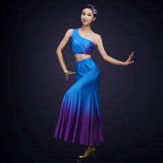 舞蹈演出服装定制新款傣族演出服装蓝色塑身民族舞蹈服定制！