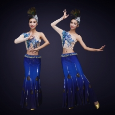 新款少数民族舞蹈服装傣族舞台演出服装蓝色孔雀舞塑身舞蹈服装定制！