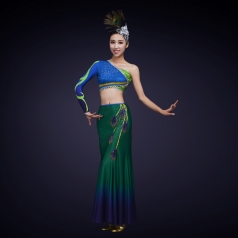 新款少数民族舞蹈服装女款塑身傣族舞蹈演出服装孔雀舞服定制！