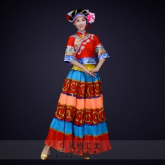 少数民族舞蹈演出服装舞蹈表演服装女款彝族舞蹈演出服装定制！