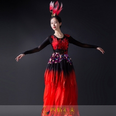 新款古典舞蹈演出服装女款黑色舞蹈演出服装定制