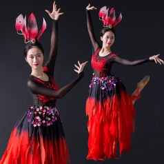 新款古典舞蹈演出服装女款黑色舞蹈演出服装定制